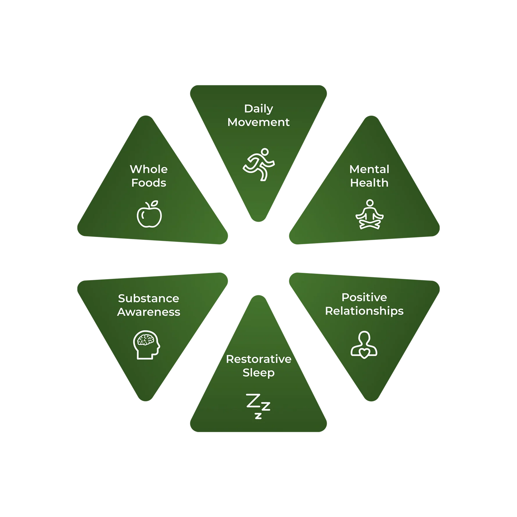 Terra_6_Pillars_of_Lifestyle_Medicine_coverv2-1